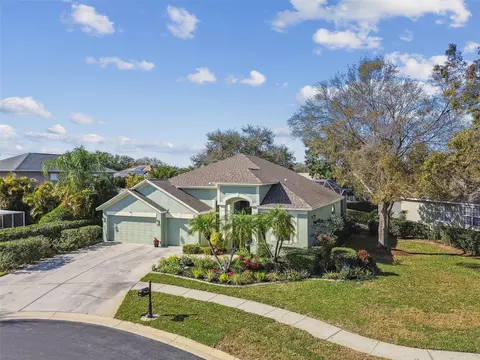 3710 Rain Tree Ct, Palm Harbor, FL 34685