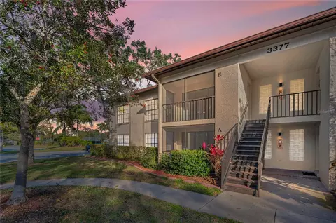 3377 Crystal Ct E #E, Palm Harbor, FL 34685 photo 1