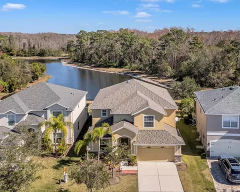 20209 Merry Oak Ave, Tampa, FL 33647