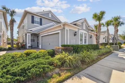 11132 Roseate Dr, Tampa, FL 33626
