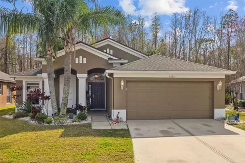 5225 Algerine Pl, Wesley Chapel, FL 33544