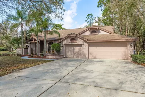 170 Greenhaven Cir, Oldsmar, FL 34677