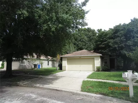 11818 Mango Groves Blvd, Seffner, FL 33584 photo 1