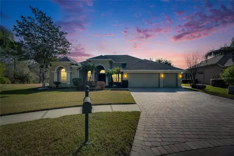 3852 Sorrel Vine Dr, Wesley Chapel, FL 33544