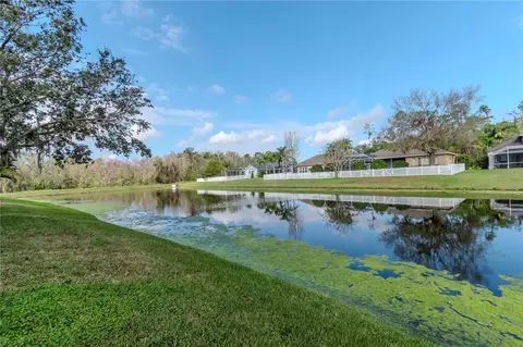 27045 Firebush Dr, Wesley Chapel, FL 33544