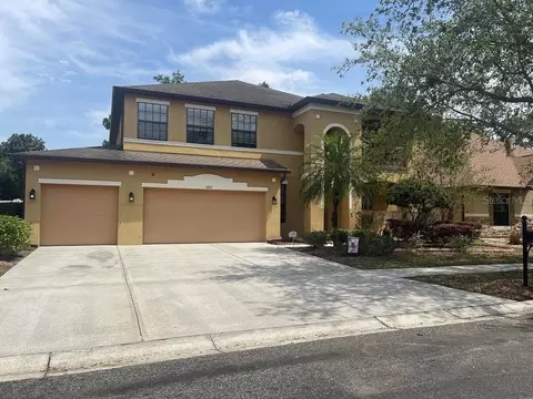 1805 Abbey Trace Dr, Dover, FL 33527