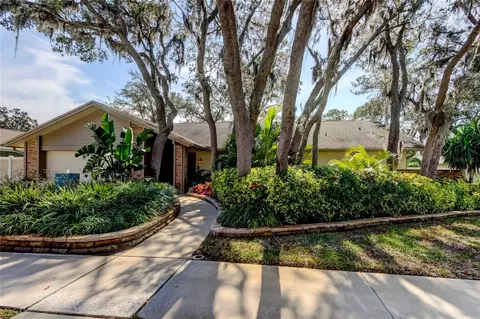 3089 Enisglen Dr, Palm Harbor, FL 34683
