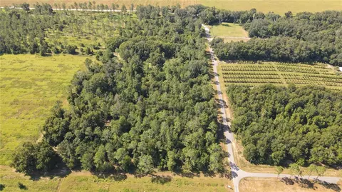 Amberlea Road, Dade City, FL 33523