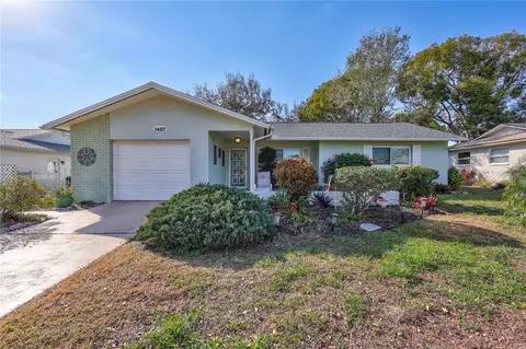 1487 Dundee Dr, Palm Harbor, FL 34684