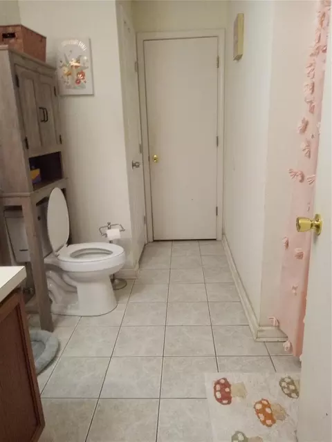 Bath - 10933 Subtle Trail Dr, Riverview, FL 33569 photo 4 of 4