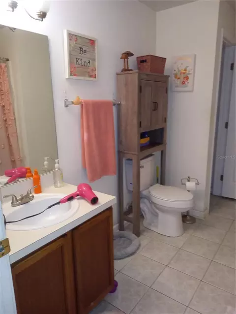 Bath - 10933 Subtle Trail Dr, Riverview, FL 33569 photo 3 of 4