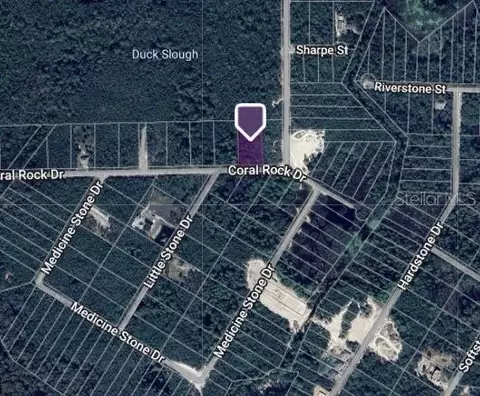 Coral Rock Drive, Webster, FL 33597