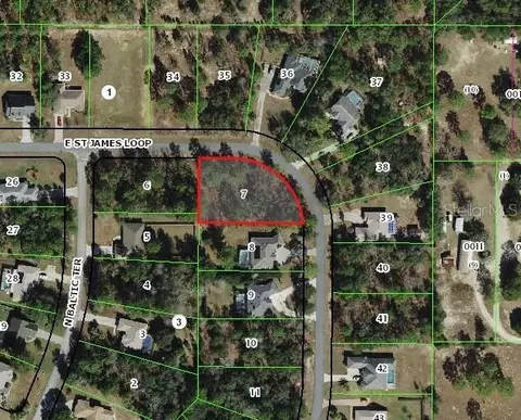 1820 E Saint James Loop, Inverness, FL 34453 photo 1