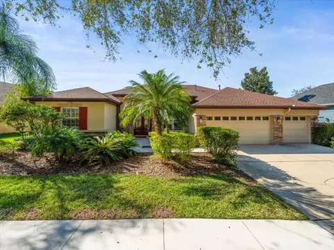 15720 Ibisridge Dr, Lithia, FL 33547