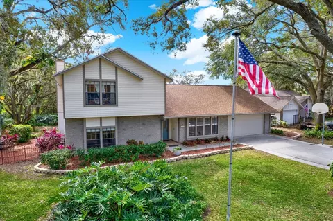 3030 Avalon Terrace Dr, Valrico, FL 33596