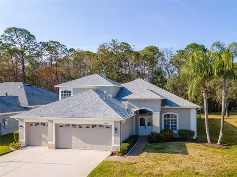 12545 Leatherleaf Dr, Tampa, FL 33626