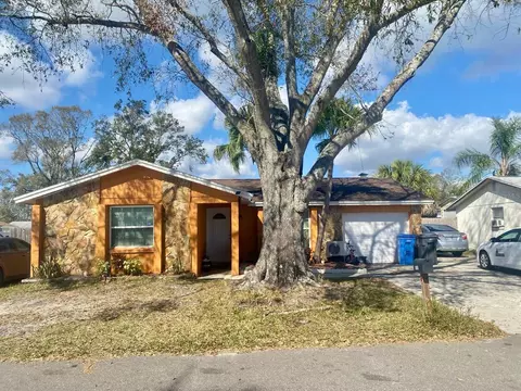 10107 Lazy Creek Ct, Tampa, FL 33615