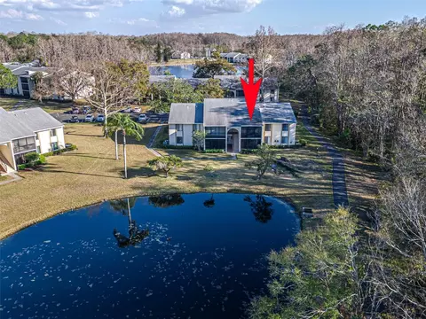 1424 Pine Glen Ln #B2, Tarpon Springs, FL 34688