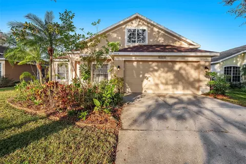 12816 Pacifica Pl, Tampa, FL 33625