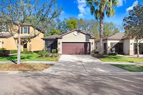 4512 Paper Mulberry Pl, Riverview, FL 33578