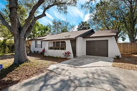 10108 Hunters Point Ct, Tampa, FL 33615