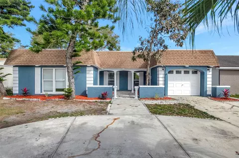 3544 Landale Dr, Holiday, FL 34691