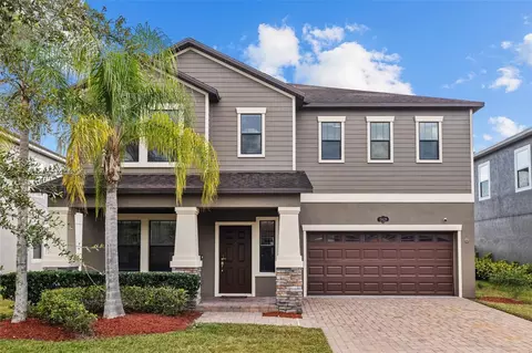 19429 Paddock View Dr, Tampa, FL 33647