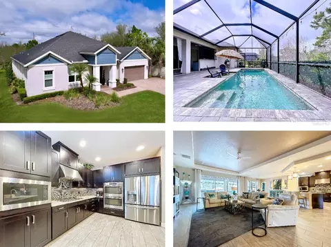 2385 Arboretum Dr, Palm Harbor, FL 34683