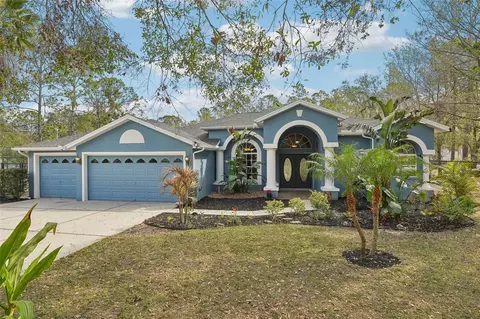 7546 Richland St, Wesley Chapel, FL 33544