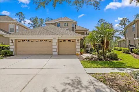 10116 Deercliff Dr, Tampa, FL 33647