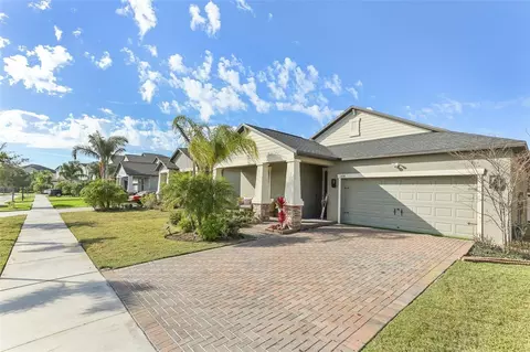 13218 Satin Lily Dr, Riverview, FL 33579
