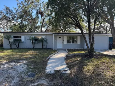1919 E Noel St, Tampa, FL 33610