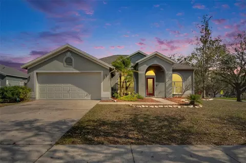 12806 Yarn Pl, Riverview, FL 33569