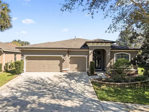 15664 Starling Water Dr, Lithia, FL 33547
