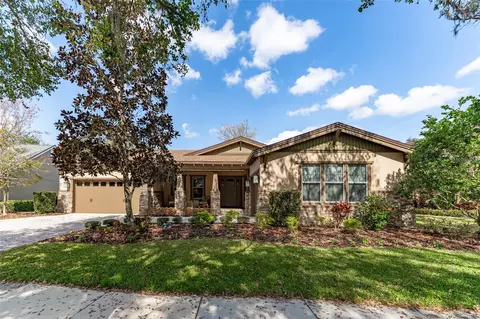 15944 Ternglade Dr, Lithia, FL 33547