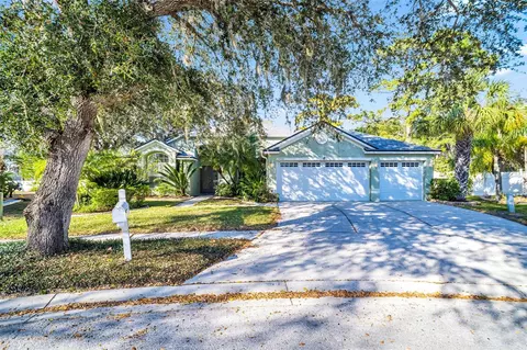 13735 Antler Point Dr, Tampa, FL 33626