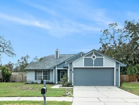 2041 Shadow Pine Dr, Brandon, FL 33511 photo 1