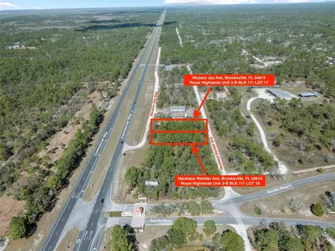 17286 Nicasio Jay Ave, Brooksville, FL 34614