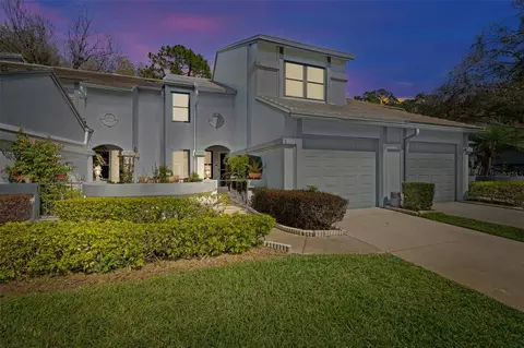 4115 Brentwood Park Cir, Tampa, FL 33624