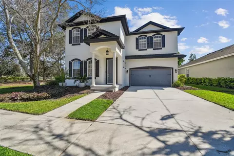 8516 Lagerfeld Dr, Land O Lakes, FL 34637