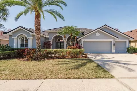 10537 Greensprings Dr, Tampa, FL 33626