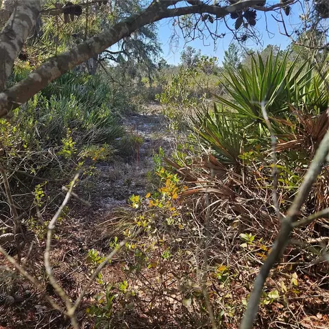 Sugarfoot Avenue, Lake Wales, FL 33859