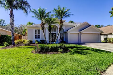 10614 Chambers Dr, Tampa, FL 33626