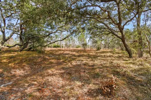 Seneca Road, Weeki Wachee, FL 34614