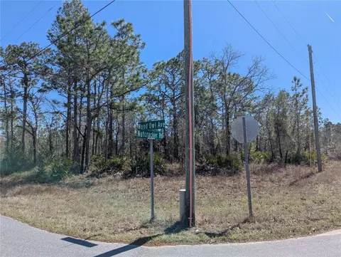 0 Nutcracker Rd, Weeki Wachee, FL 34614