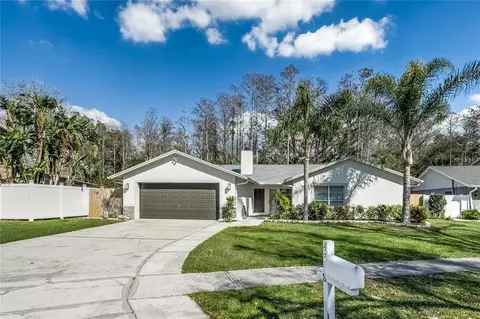 4308 Grainary Ave, Tampa, FL 33624