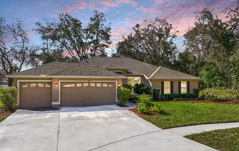 4701 Marsh Hawk Ct, Valrico, FL 33596