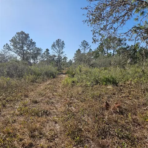 Sugarfoot Avenue, Lake Wales, FL 33859