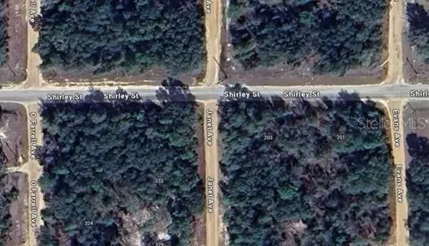 Janet Ave, Interlachen, FL 32148