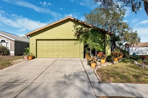 11508 Smokethorn Dr, Riverview, FL 33579